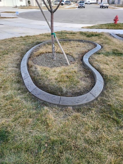 Tree Ring Curbing