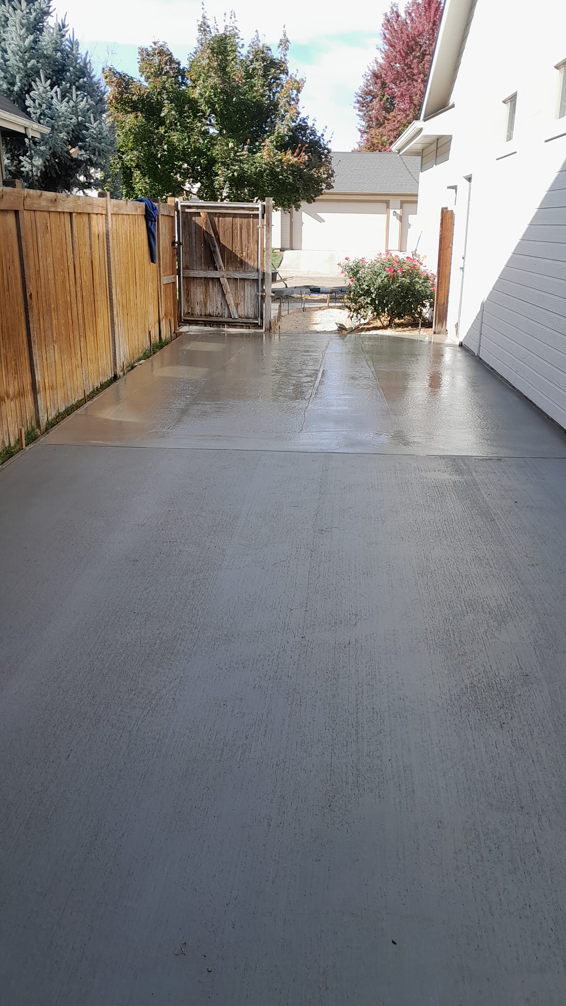 Backyard Transformation